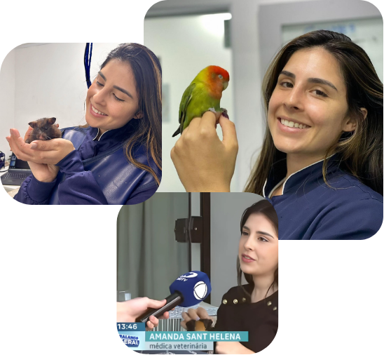 Consulta Pet Especializada